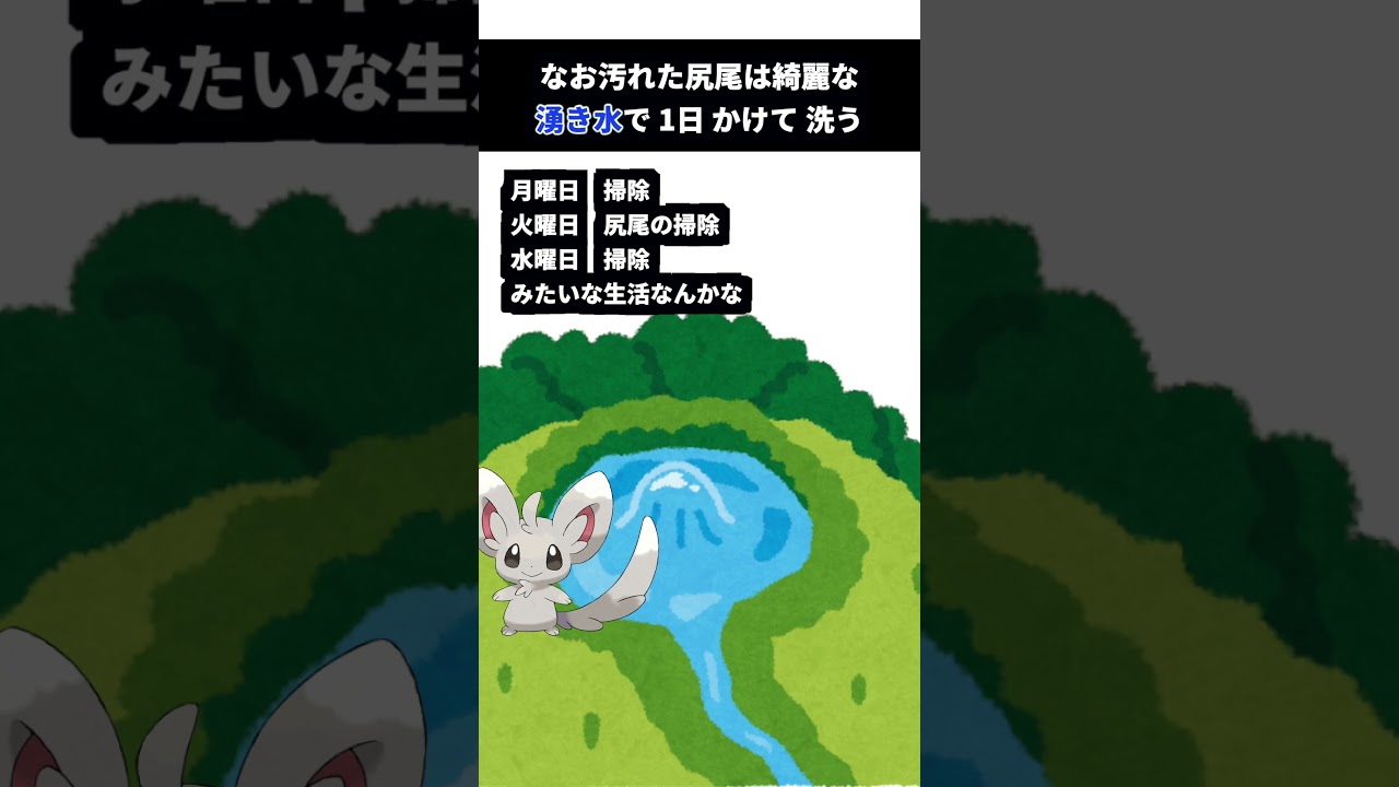 潔癖症チラチーノ系統にまつわる小ネタ3選#ポケモン#雑学#アニメ#ゲーム#cl福岡優勝おめでとう#チラーミィ