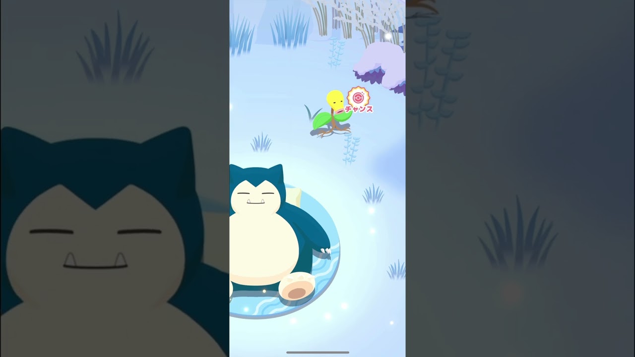 本日のポケモンスリープ　2024.2.25