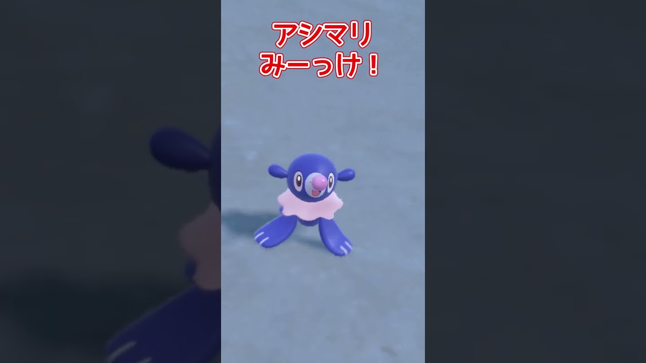 アシマリみーっけ！ #ポケモンsv色違い #ポケモン #色違い