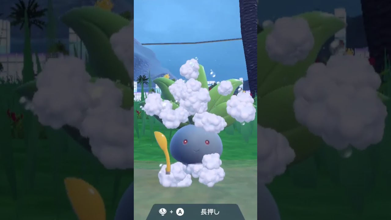 ナゾノクサ Oddish【ポケモンsv】