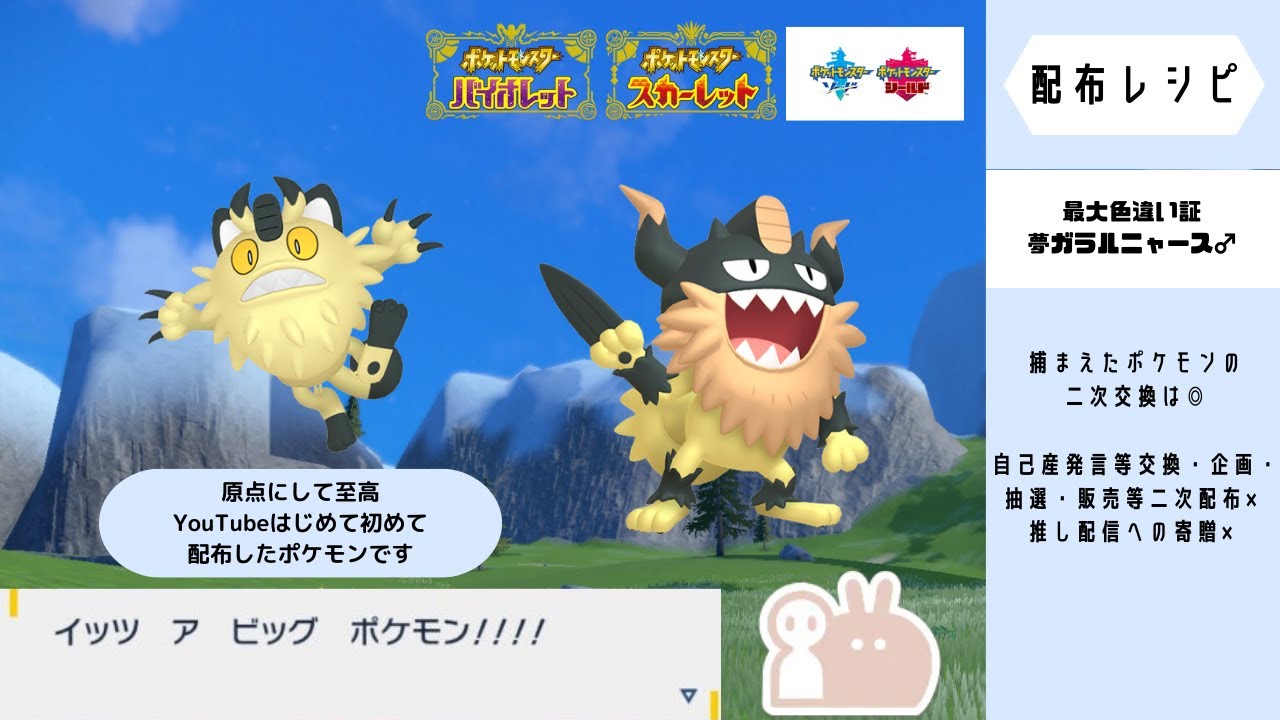 最大証　色違いガラルニャース♂配布中です！　#ポケモンSV  #ポケモン剣盾