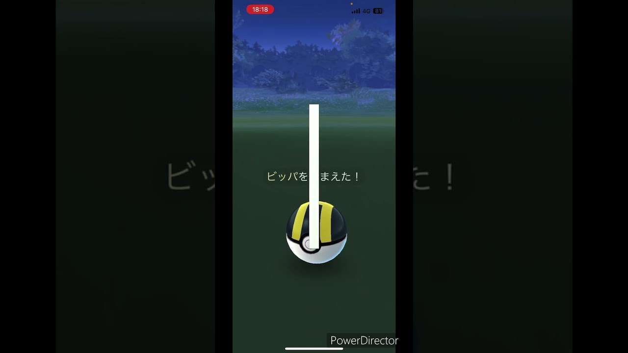 【ポケモンGO】ビッパ色違いをGetから進化！！#shrots #ポケモン #ポケモンgo #pokemongo #色違い #ビッパ  #つるっぱげたけちゃんのおやじちゃんねる