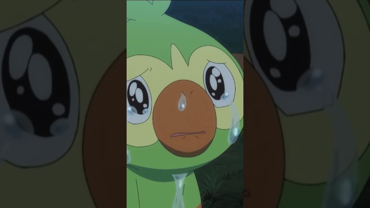 大号泣サルノリ　#アニポケ #anipoke #pokemon #サルノリ