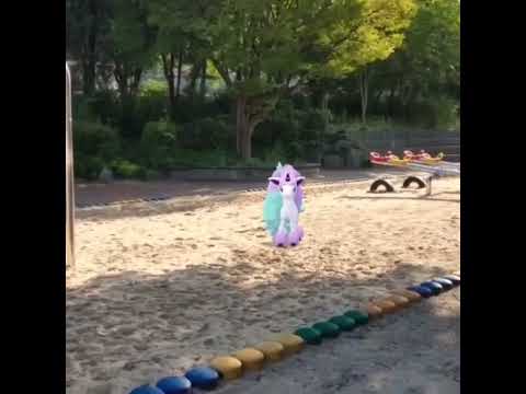 가라르 포니타 ( Galarian Ponyta ) ガラルポニータ ( 小火馬 )