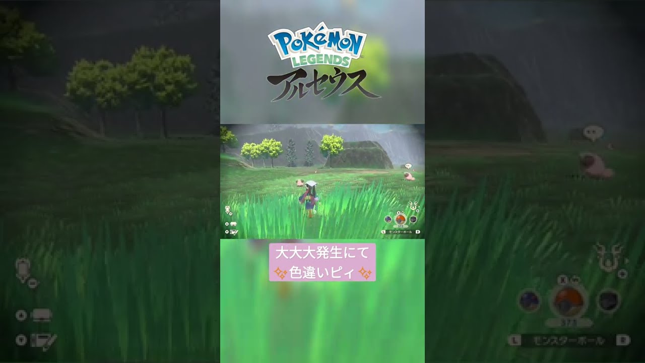 【色違い】Pokémon LEGENDS アルセウス『ピィ』大大大発生にて色違い✨ #shorts
