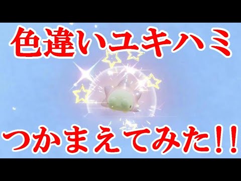 【ポケモンSV】色違いユキハミつかまえてみた！！