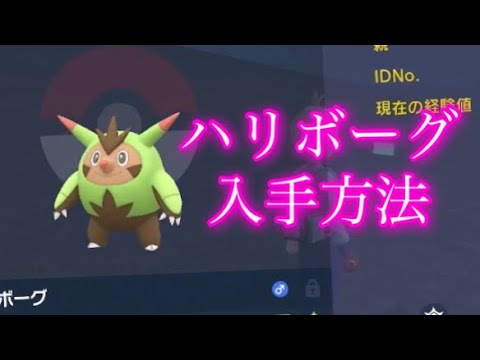 【ポケモンSV】【藍の円盤】ハリボーグ入手方法