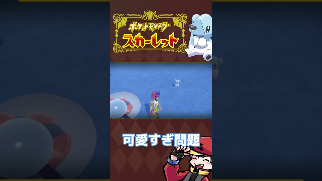 [ポケモン] 可愛すぎたクマシュン #pokémon #ポケモン #ポケモンsv