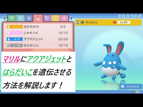 【ポケモン　ダイパリメイク】マリルにアクアジェットとはらだいこを遺伝する方法！【ポケモンBDSP】