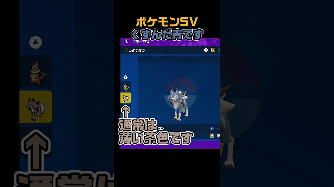 色違いルガルガン（まひるのすがた）　 #shorts　ポケモンSV