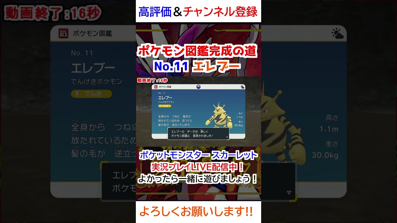 No 11 エレブー図鑑登録完了！【ポケモンSV】