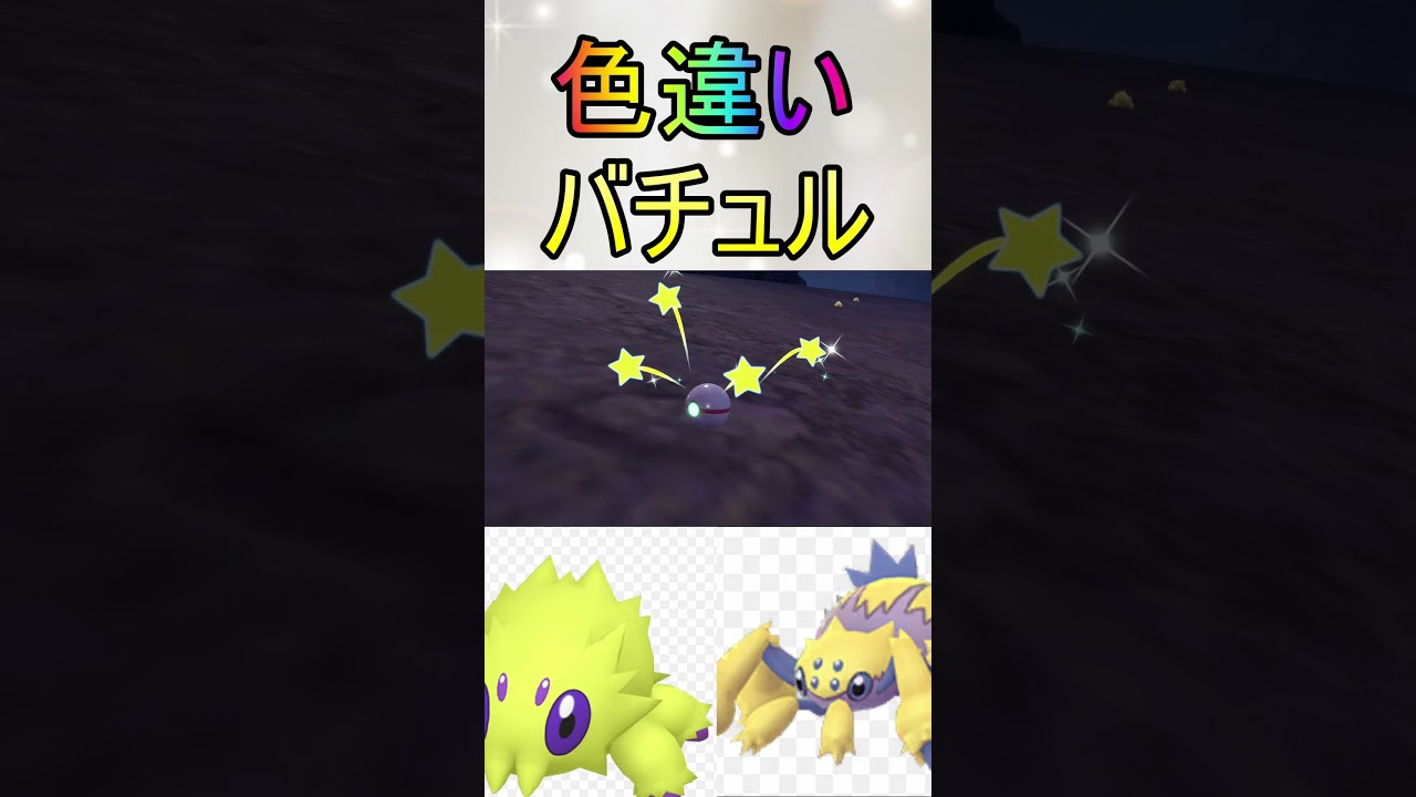 色厳選ほぼ放置色違いバチュル、デンチュラ入手【ポケットモンスターバイオレットスカーレットsv/ゼロの秘宝/碧の仮面/藍の円盤】#shorts #色厳選 #藍の円盤 #色違い #ポケモン