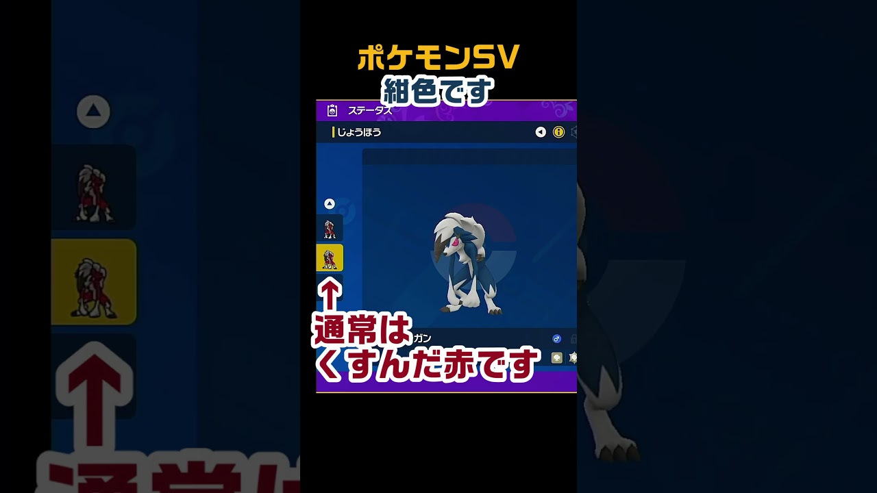 色違いルガルガン（まよなかのすがた）　 #shorts　ポケモンSV