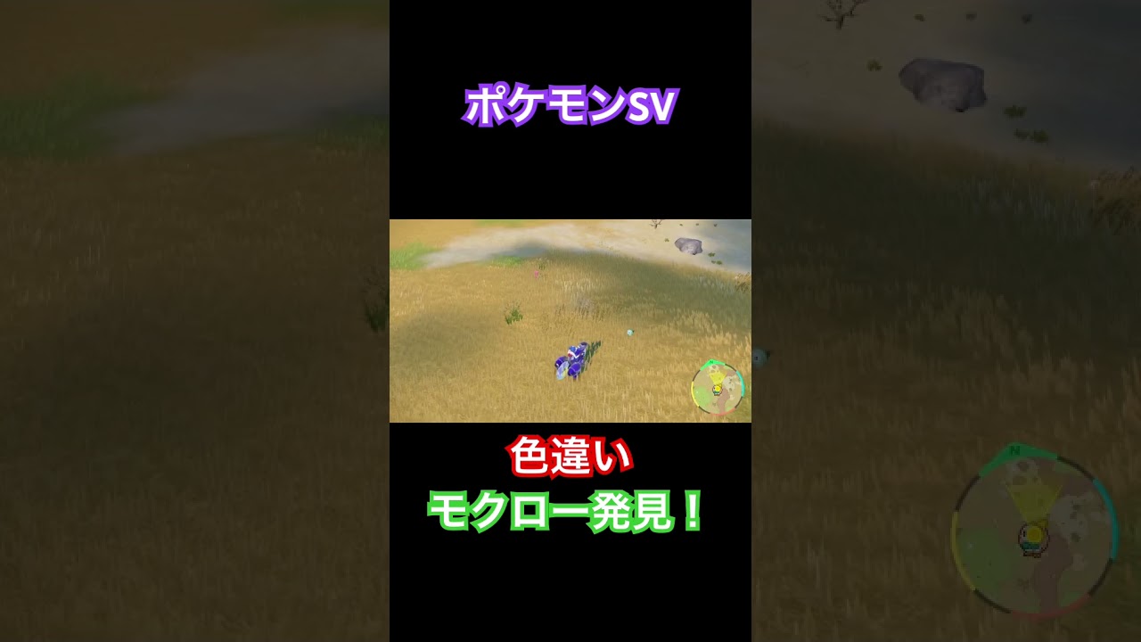 【ポケモンSV】色違いモクロー発見！ #ポケモン #ポケモンsv #pokemon #shorts