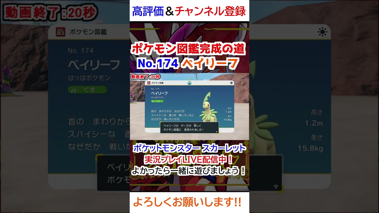 No 174 ベイリーフ図鑑登録完了！【ポケモンSV】