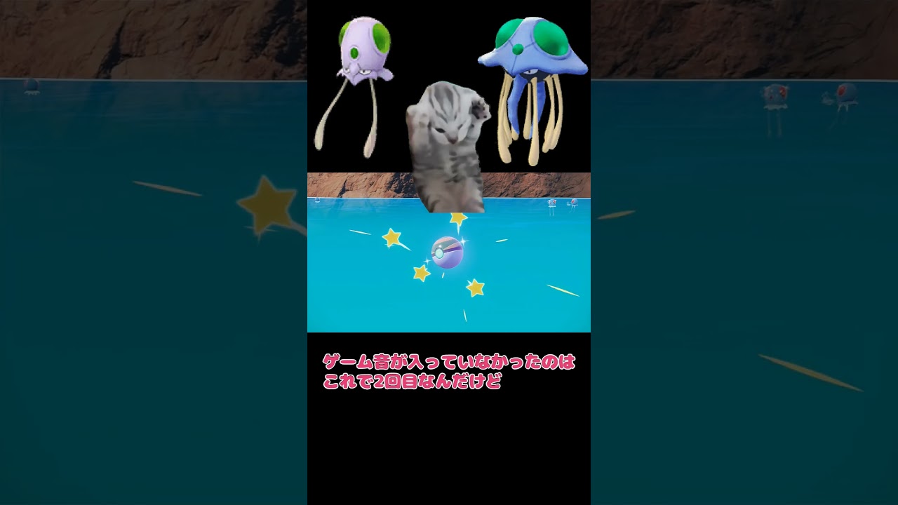 【ポケモンSV】ゲーム音が入らずに音源とネコミームで誤魔化す#新人vtuber #色違い #メノクラゲ #ドククラゲ　#猫ミーム