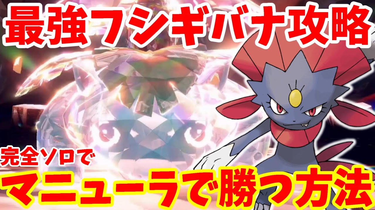 【ポケモンSV】最強フシギバナにマニューラで安定して勝つ方法！攻略の立ち回りや育成についてまとめ【ポケモンスカーレットバイオレット・ゼロの秘宝】