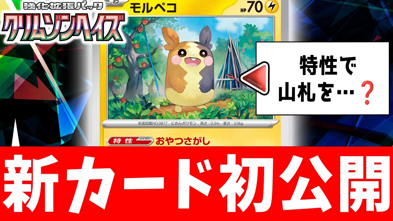 【初公開】汎用性バツグンの特性&ワザ！新登場のモルペコを解説！【ポケカ/クリムゾンヘイズ】