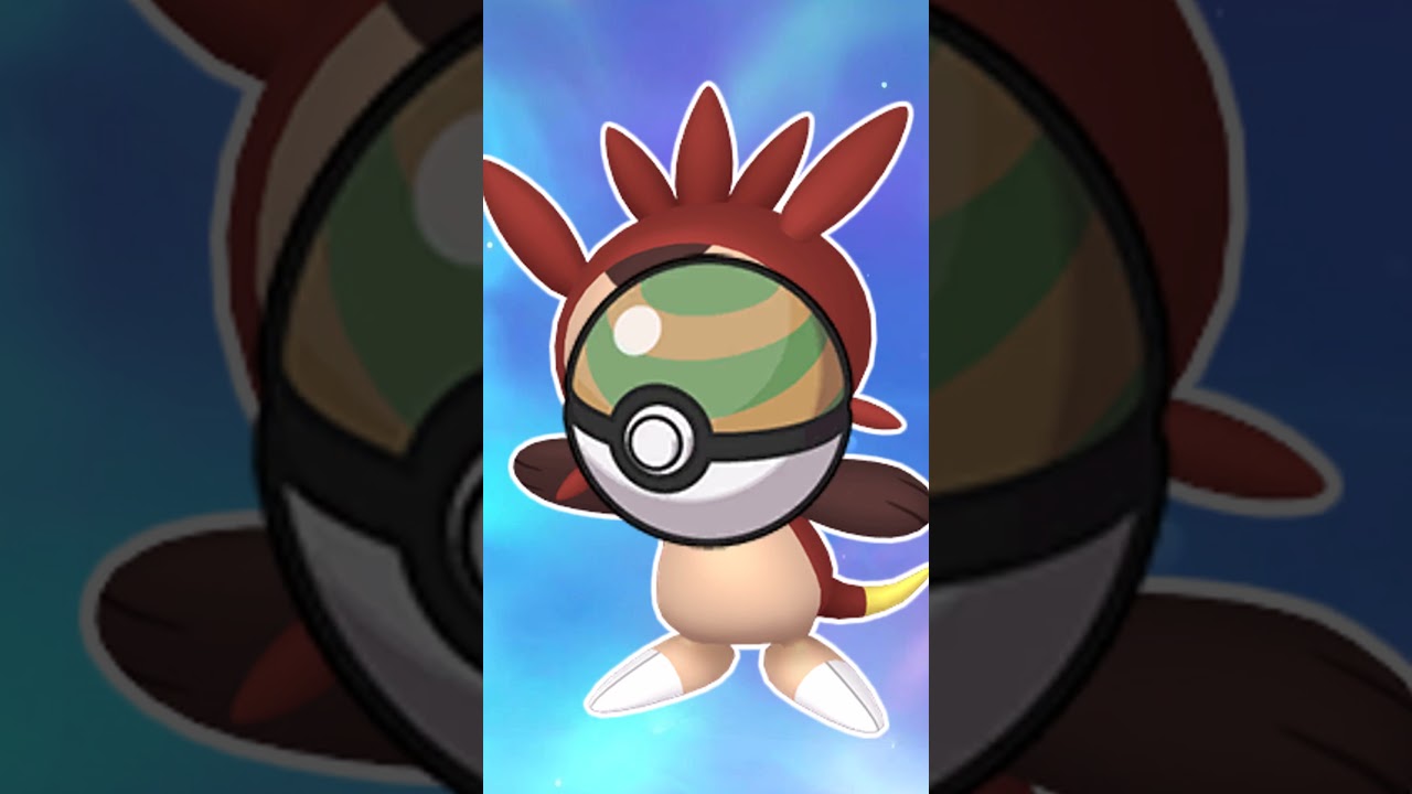 【オシャボ】色違いハリマロンみんなは何ボールに入れる？#shorts #ポケモンsv #ポケモンsv色違い #pokémon