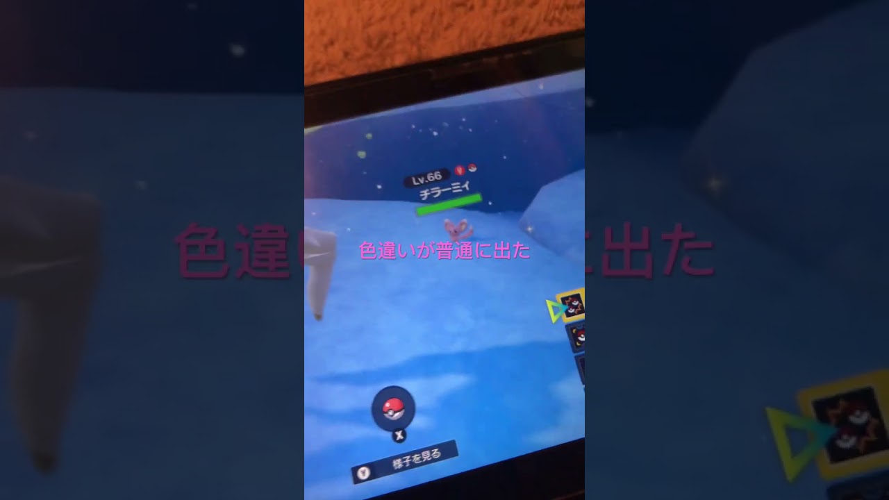 チラーミィ色違い出現！