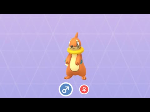 Pokémon GO 418 ブイゼル (レイドバトル)