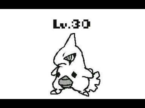 うごメモ3D『進化！ヨーギラス』