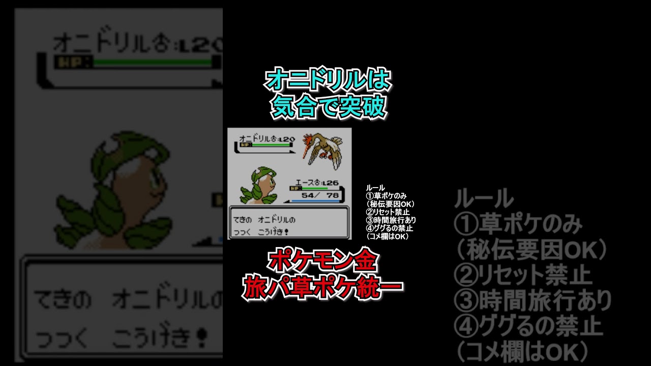 【ポケモン金】オニドリルを気合で突破する草統一。　#ポケモンsv  #ポケモン金  #shorts