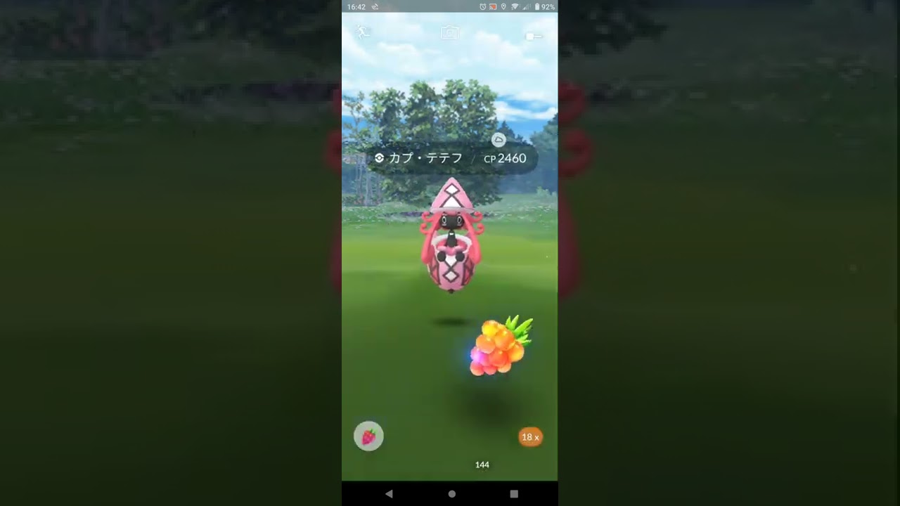 【ポケモンGO】レイドバトル：カプ・テテフ