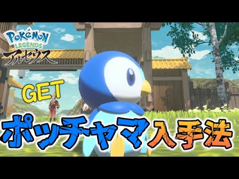 【シンオウ御三家】ポッチャマの野生出現場所・入手方法！【ポケモンレジェンズ/アルセウス】