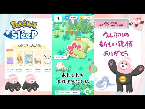 【ポケモンスリープ】こっこおばちゃんの睡眠リサーチ記録 226日目