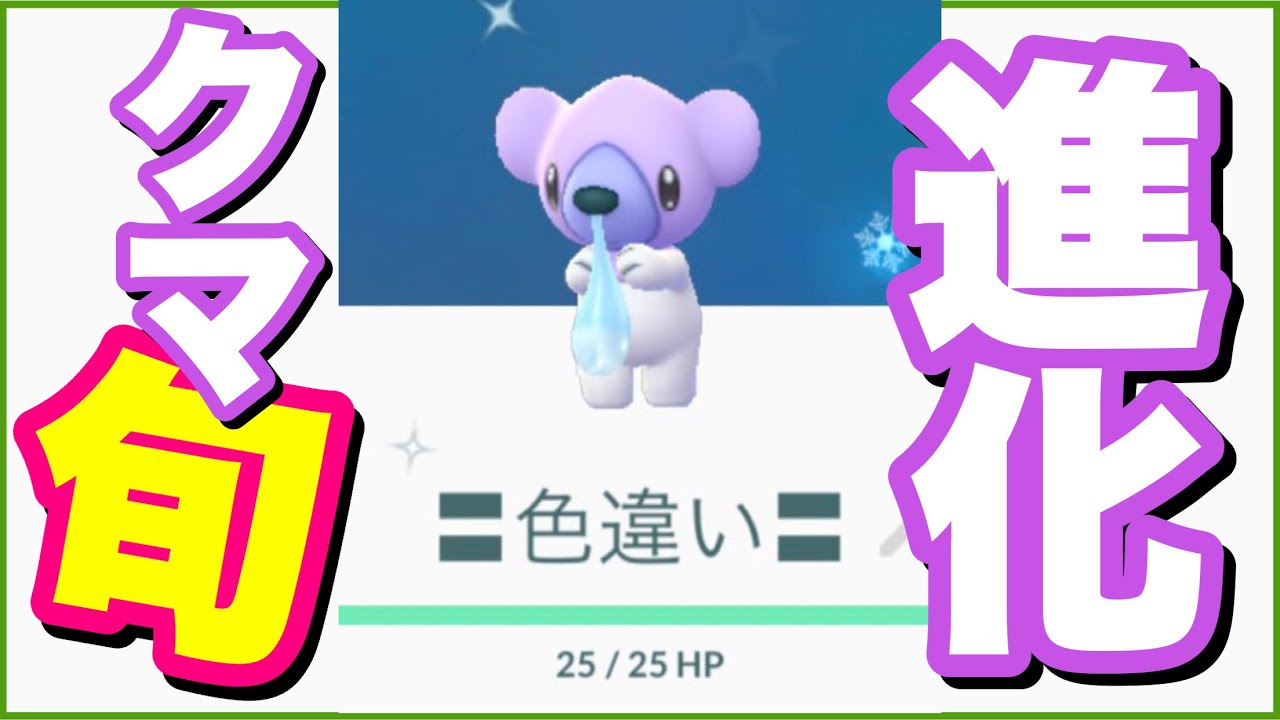 【実装初日】ゴプラ産の色違いクマシュンさんを進化させてみた【Shiny Cubchoo】【ポケモンGO】205