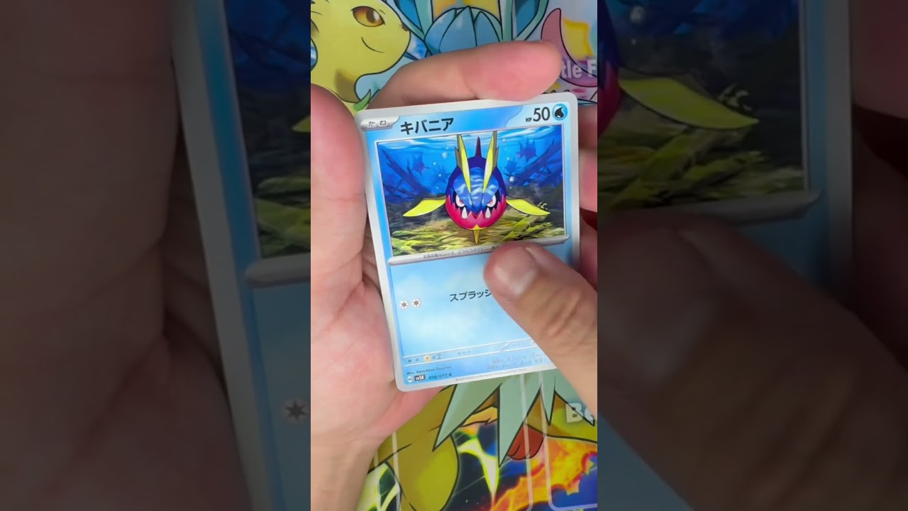 【毎日ポケモンクイズ】次の進化系をコメントで答えてね✨️フシギダネ→フシギソウ→○○○○○#ポケモンカード #ポケカ開封 #ポケモン #ポケモンクイズ #1日1パック開封