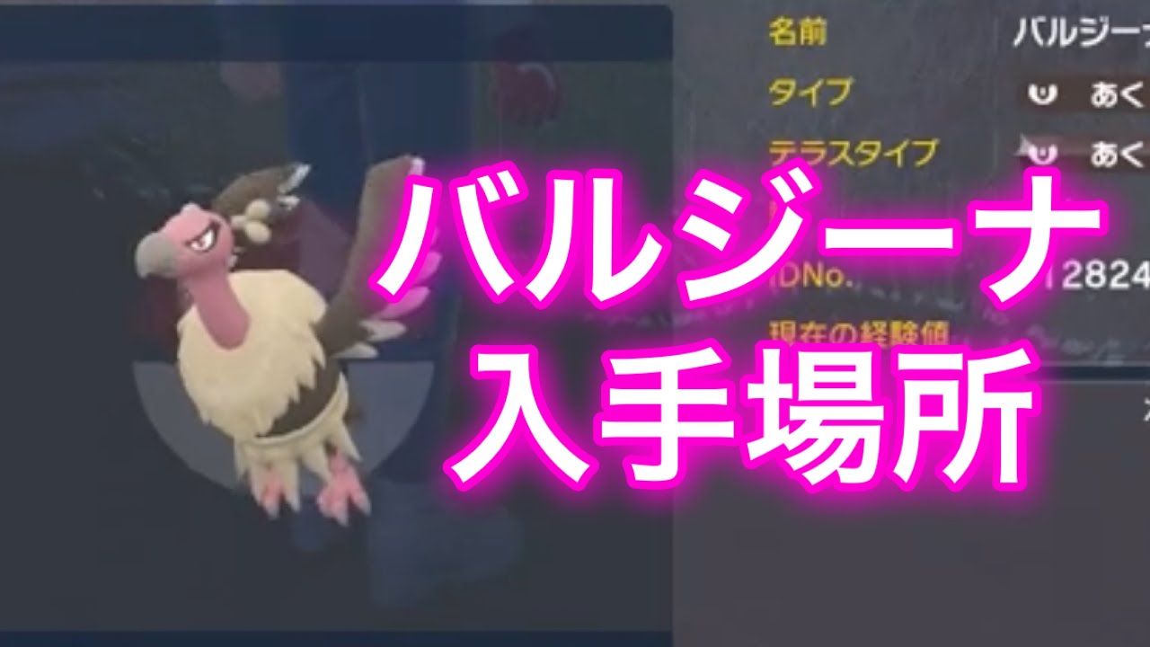 【ポケモンSV】【藍の円盤】バルジーナ入手場所
