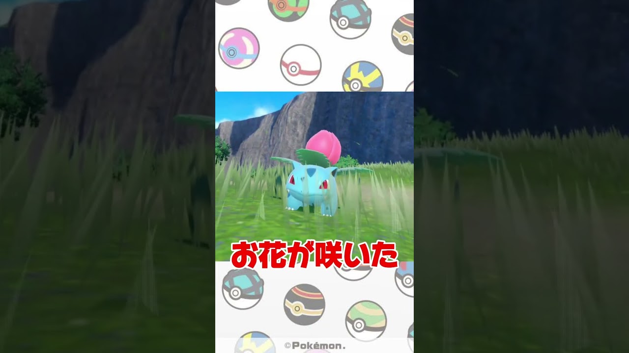 【ポケモンSV】最強のフシギバナ捕まえたから観察してみたw