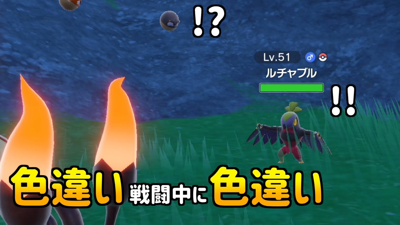色違い戦闘中に色違い遭遇【ポケモンSV】