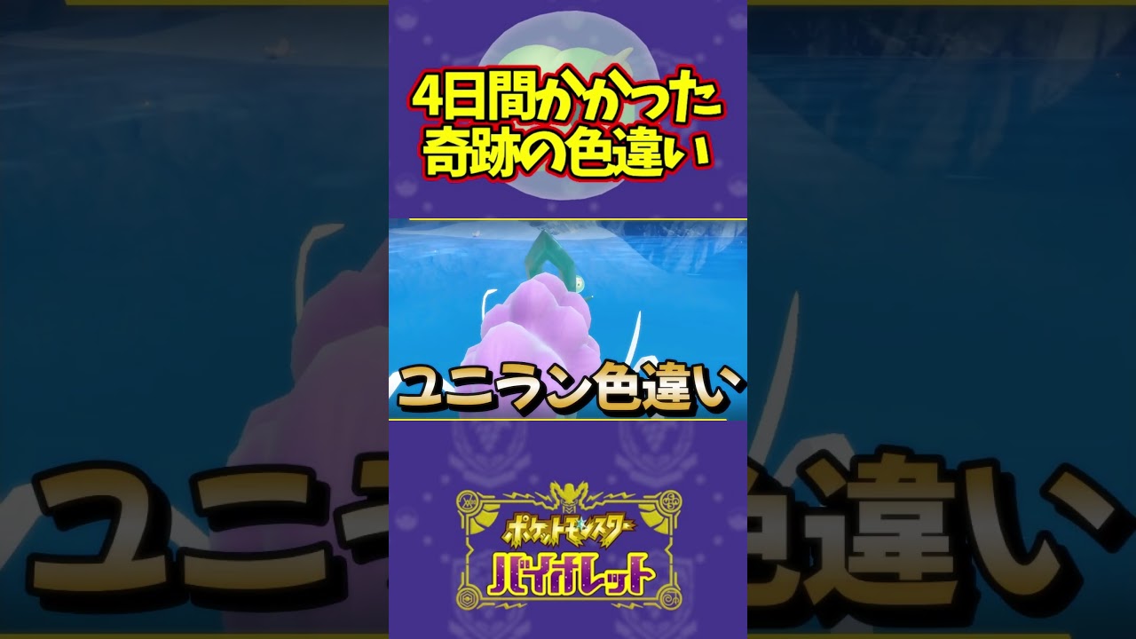 4日間厳選したユニランが超激レアだったwww#ポケモンsv #青の円盤