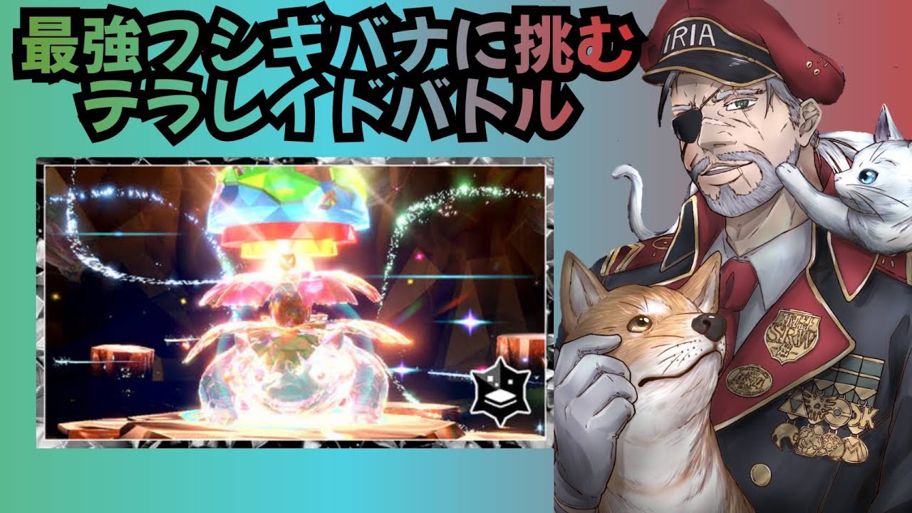 最強フシギバナに挑戦したい