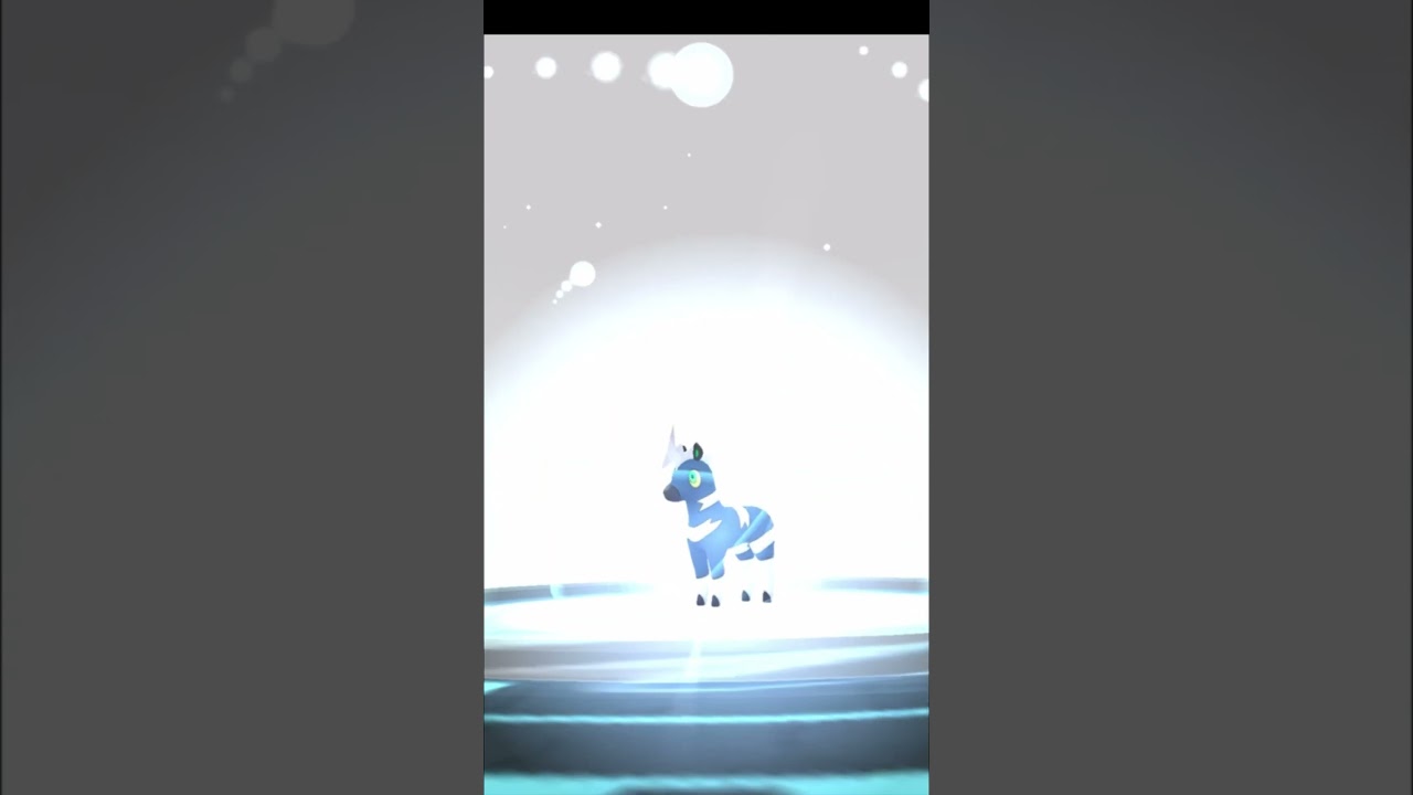 色違いのシママをゼブライカに進化させてみた！ #ポケモンGO #pokemongo #色違い #shorts