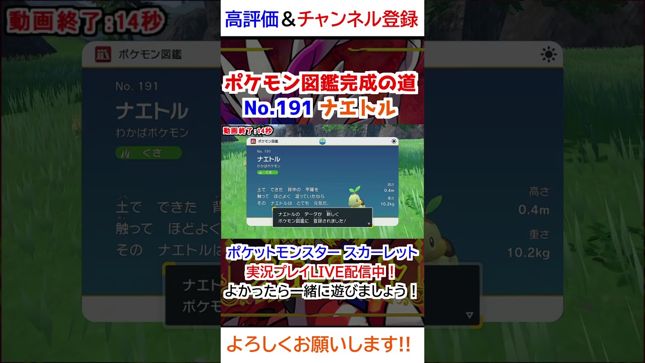 No 191 ナエトル図鑑登録完了！【ポケモンSV】