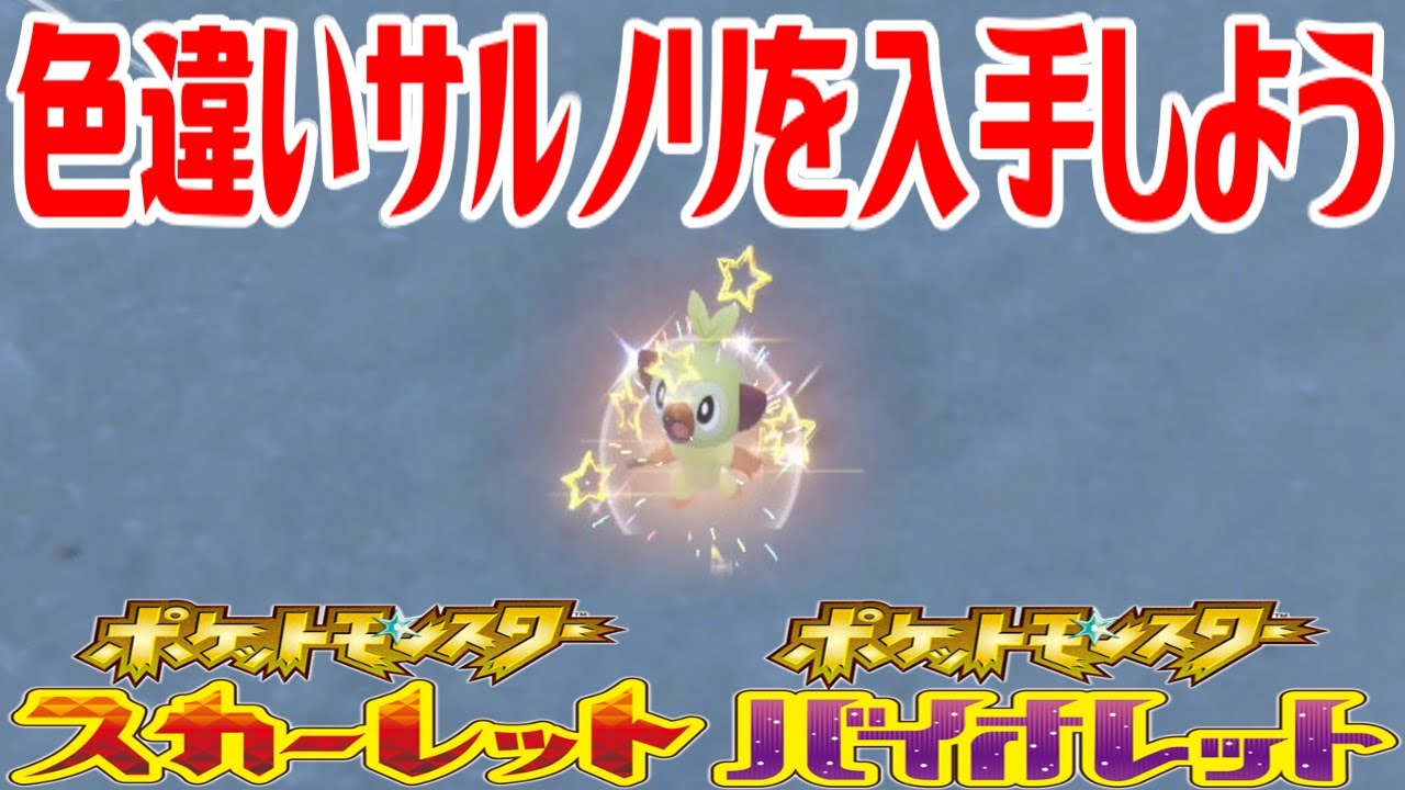 【ポケモンSV】色違いサルノリを入手しよう【ポケットモンスター スカーレット・バイオレット ゼロの秘宝 藍の円盤】Pocket Monsters