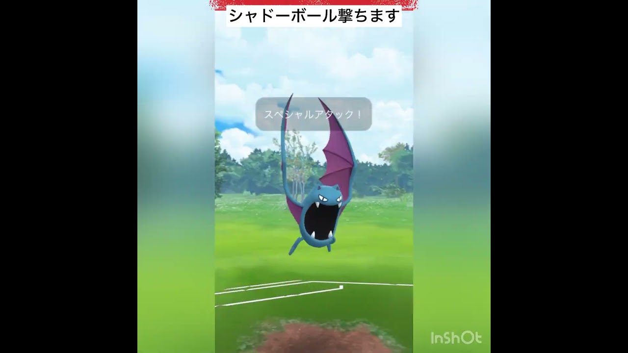 初手にゴルバット使っていく‼️