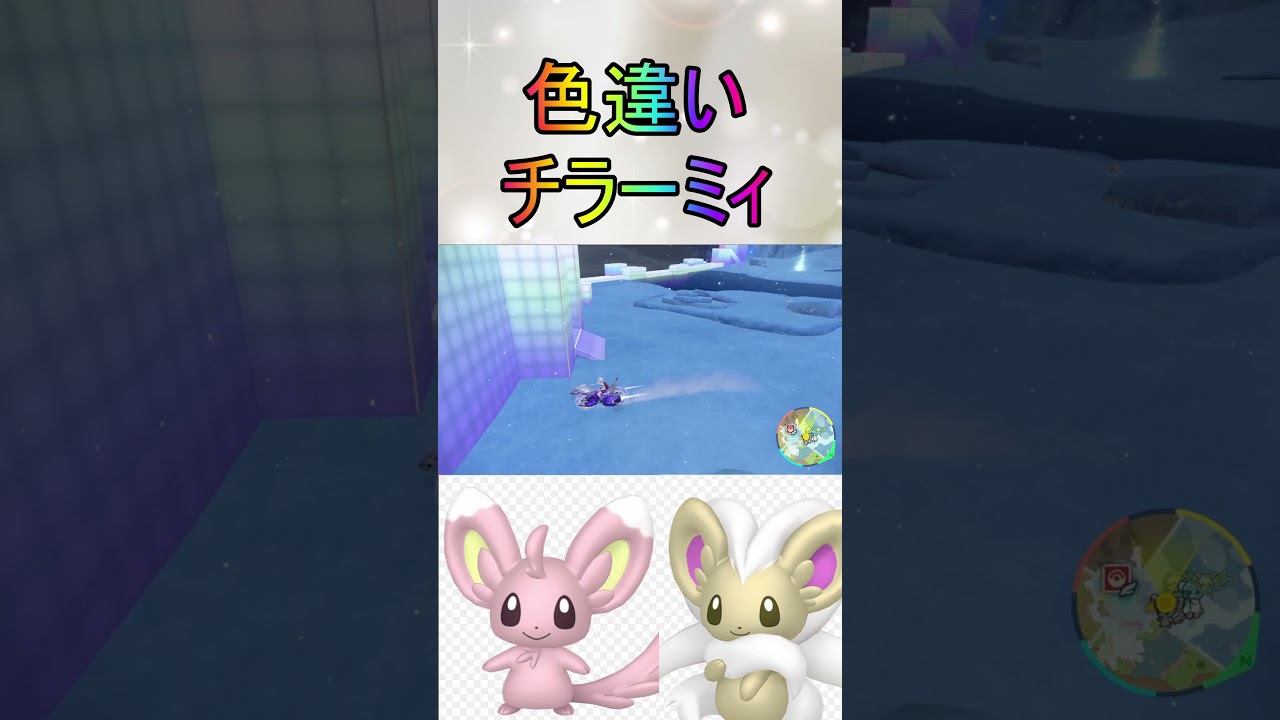 色厳選ほぼ放置色違いチラーミィ、チラチーノ入手【ポケットモンスターバイオレットスカーレットSV/ゼロの秘宝/碧の仮面/藍の円盤】#shorts #藍の円盤 #色違い #色厳選 #ポケモン