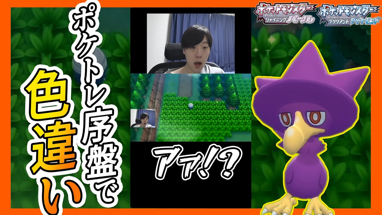 【色違い反応】ポケトレ序盤で色違いヤミカラスゲットした男のリアクション！【ポケモンBDSP】 しろーん #Shorts