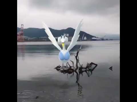 스완나 ( Swanna ) スワンナ ( 舞天鵝 )