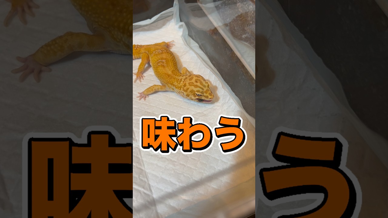 3ヶ月ぶりのエサやりをしたけど想像できない結末に…
