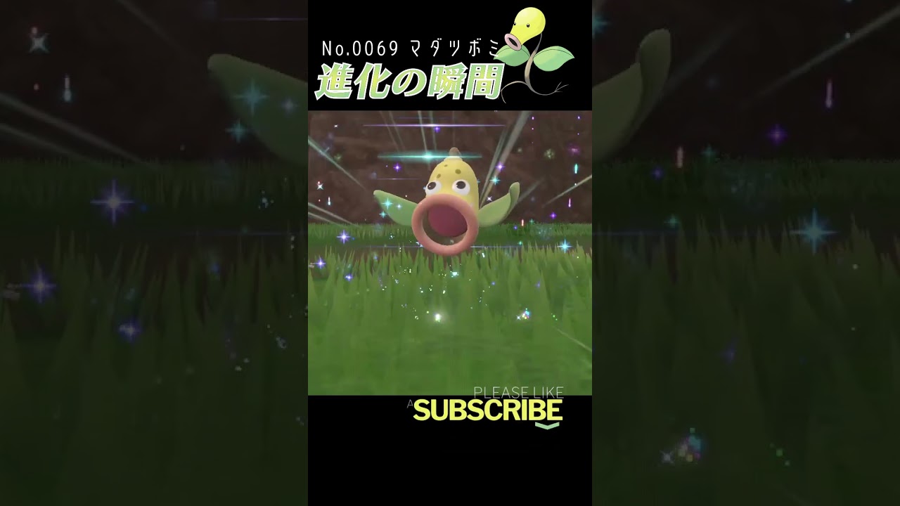 【碧の仮面】マダツボミ 進化の瞬間 #shorts