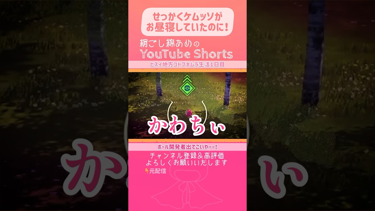 可愛いお昼寝ケムッソを起こしたモンボの花火。設計ミスだろ【PokémonLEGENDSアルセウス】 #shorts