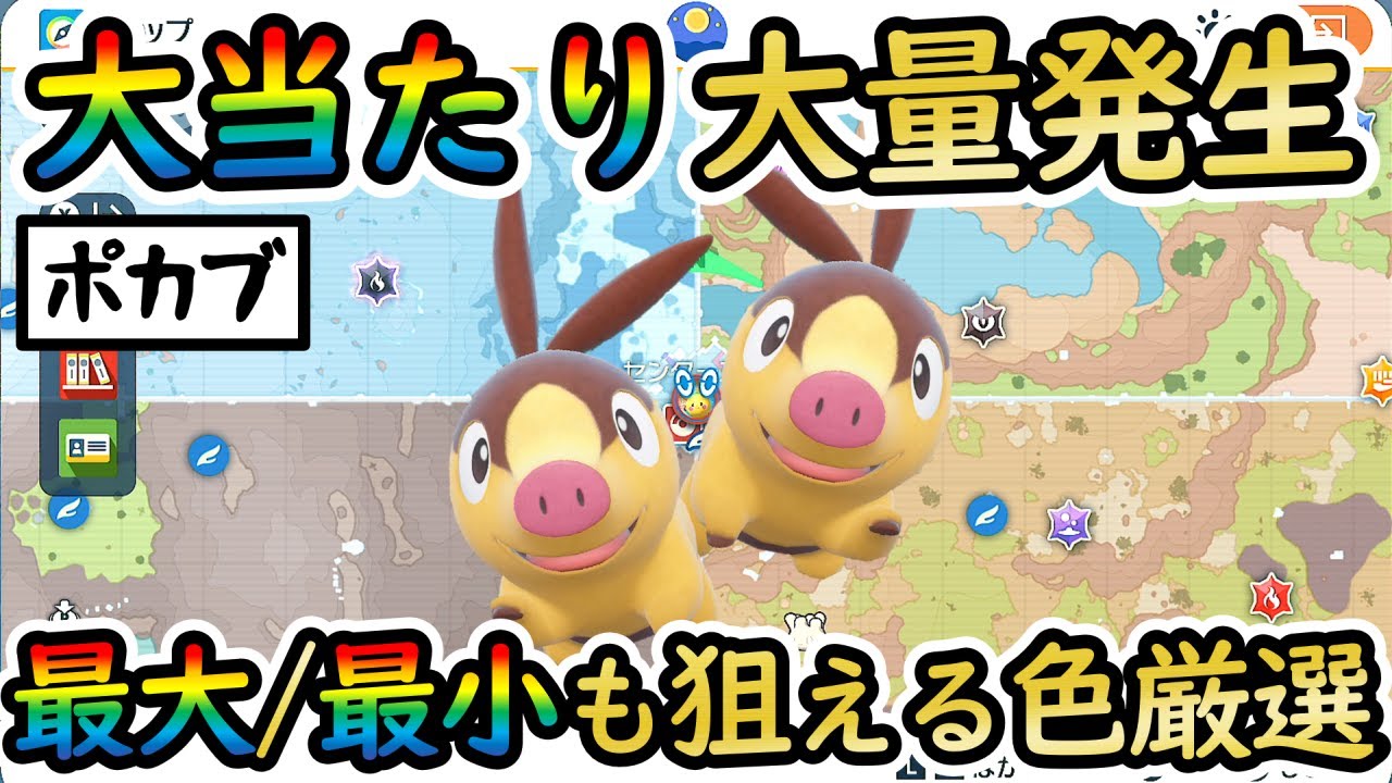 【色違いポカブ/色厳選】最大/最小も狙えるおすすめの大量発生スポットをご紹介！(チャオブー/エンブオー)【 #ポケモンSV 】