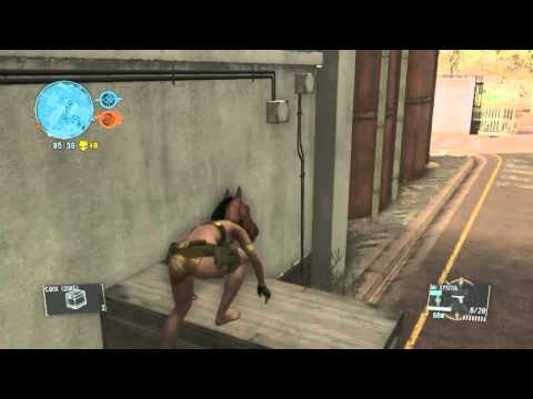 称号ピジョンまでの道のり