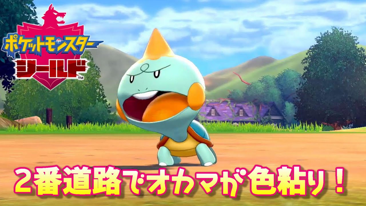 色運の無いオカマが2番道路でカムカメの色粘り！#7